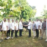 csr keagamaan sinar mas land, ymsml, hewan kurban iduladha