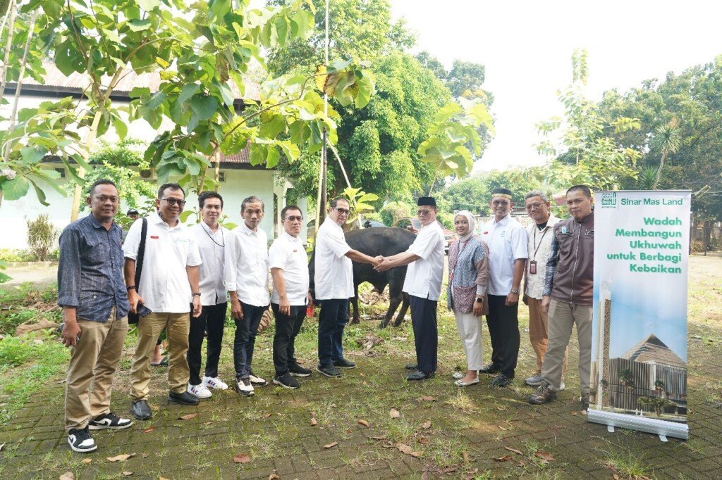 csr keagamaan sinar mas land, ymsml, hewan kurban iduladha