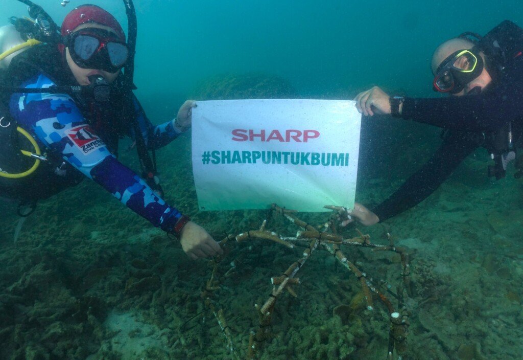 transplantation coral, program sharp untuk bumi, penanaman pohon mangrove,