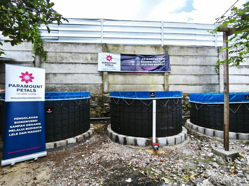 kolam bioflok budidaya lele, program csr paramount petals