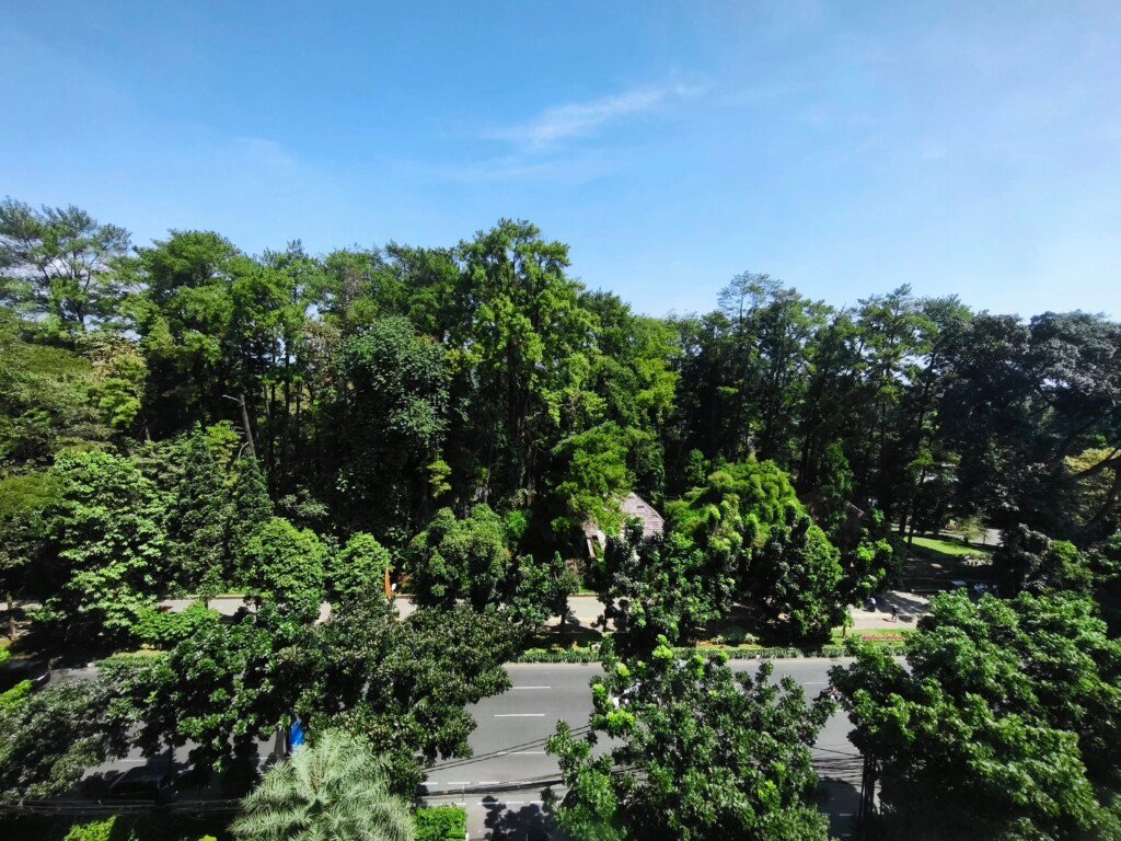 grand savero hotel bogor, travel experience, hotel di bogor, kebun raya bogor