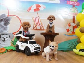 Jakarta International Pet Show 2026 di PIK 2
