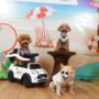 Jakarta International Pet Show 2026 di PIK 2