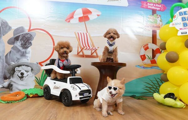 Jakarta International Pet Show 2026 di PIK 2